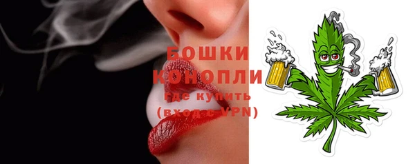 прущие грибы Новоульяновск