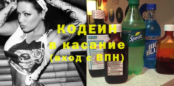 прущие грибы Новоульяновск