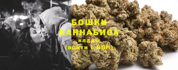 прущие грибы Новоульяновск