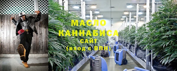 прущие грибы Новоульяновск