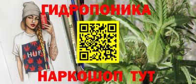 прущие крисы Нарткала