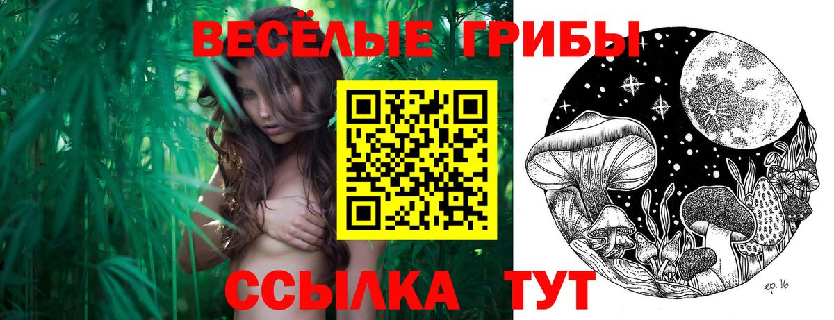 Псилоцибиновые грибы Psilocybine cubensis Ханты-Мансийск